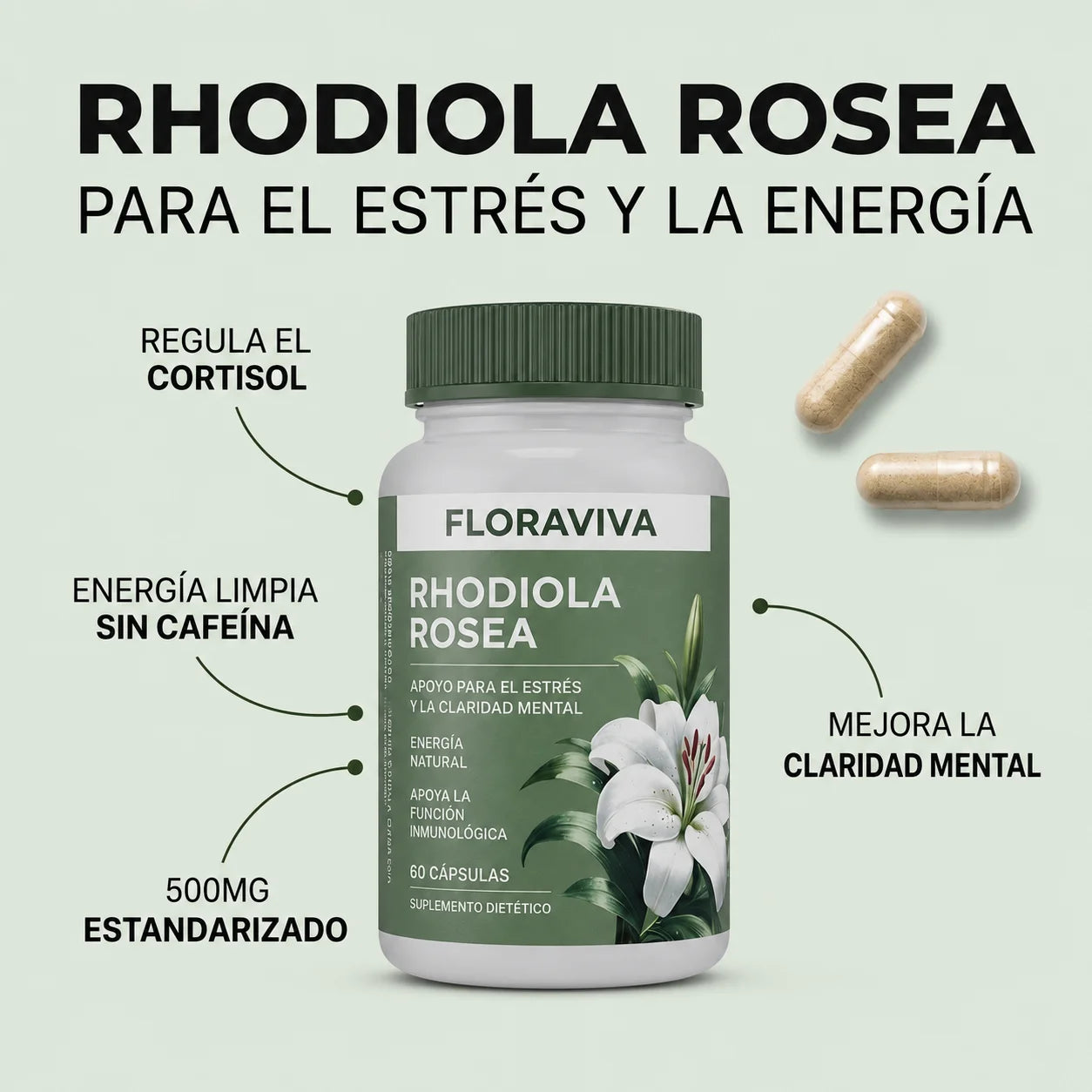Rhodiola Rosea