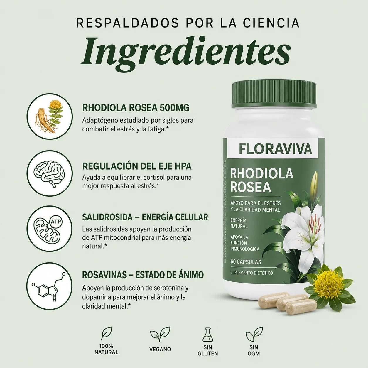 Rhodiola Rosea