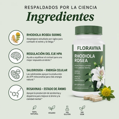 Rhodiola Rosea