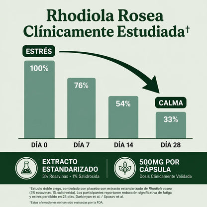 Rhodiola Rosea